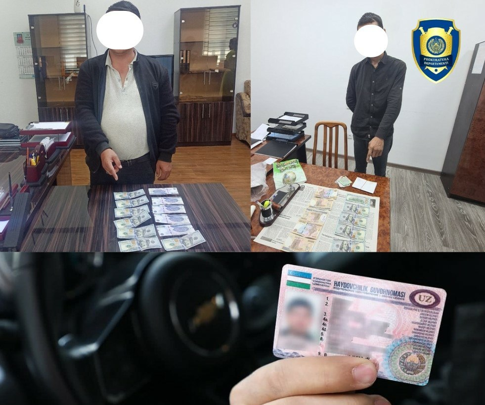 Ҳайдовчилик гувоҳномаларини олиб беришни ваъда қилган фирибгарлар ушланди.